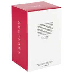 Hallmark Christmas Angels Good Cheer Ornament -Hallmark Angel in Red Flowers Dress Keepsake Ornament 2499QXR8267 05