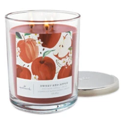 Hallmark -Hallmark Apple Grove 3Wick Jar Candle 1BGC1080 02