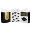 Hallmark 13" Assorted Grad Designs 3-Pack Large Gift Bags With Tissue Paper -Hallmark Assorted Grad Designs 3Pack Large Gift Bags With Tissue Paper 5GBC1015 01
