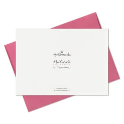 Hallmark Marjolein Bastin Assorted Blank Nature Note Cards In Caddy, Pack Of 24 20 Hallmark Marjolein Bastin Assorted Blank Nature Note Cards In Caddy, Pack Of 24 -Hallmark Bastin Assorted Nature Note Cards Caddy Bulk Pack 1SOM3881 09