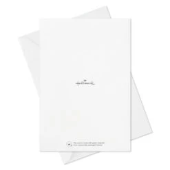 Hallmark Colorful Classic Boxed All-Occasion Cards Assortment, Pack Of 12 -Hallmark Celebrate Assorted Boxed AllOccasion Cards 3EDX1204 10