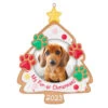 Hallmark My Fur-st Christmas 2023 Photo Frame Ornament 2 Hallmark My Fur-st Christmas 2023 Photo Frame Ornament -Hallmark Christmas Cookie Pet Picture Frame Keepsake Ornament 1599QGO2607 01