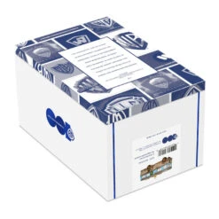 Hallmark National Lampoon's Christmas Vacation™ The RV Glass Ornament -Hallmark Christmas Vacation RV Keepsake Ornament 7499QEP3017 05