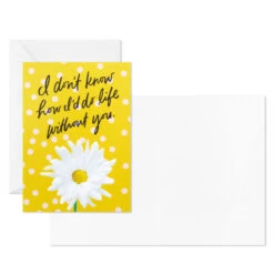 Hallmark Colorful Daisies Boxed Thank-You Notes, Pack Of 50 -Hallmark Colorful Daisies Boxed ThankYou Notes 3THK2543 04