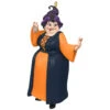 Hallmark Disney Hocus Pocus Mary Sanderson Ornament -Hallmark Hocus Pocus Mary Sanderson Keepsake Ornament 1999QFO5297 01