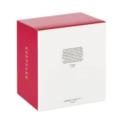 Hallmark Snowflake Ornament And Stocking Hanger 12 Hallmark Snowflake Ornament And Stocking Hanger -Hallmark Keepsake Snowflake Ornament and Stocking Hanger 1999QSB6303 05