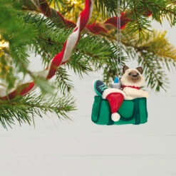 Hallmark Mischievous Kittens Ornament -Hallmark Kitten in Gym Bag Keepsake Ornament 1599QXR8179 02