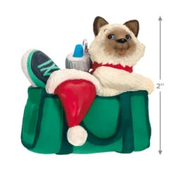 Hallmark Mischievous Kittens Ornament -Hallmark Kitten in Gym Bag Keepsake Ornament 1599QXR8179 03