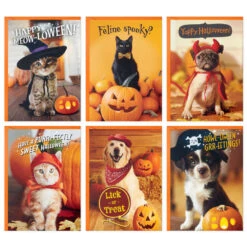 Hallmark -Hallmark Pet Puns Boxed Halloween Cards Assortment 5ELT1013 02