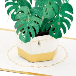 Hallmark Plant In Pot 3D Pop-Up Thinking Of You Card 13 Hallmark Plant In Pot 3D Pop-Up Thinking Of You Card -Hallmark Plant in Pot 3D PopUp Thinking of You Card 1299LAD2900 03