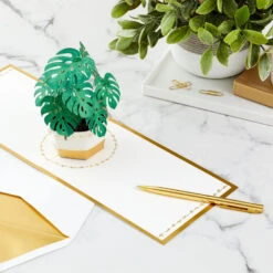 Hallmark Plant In Pot 3D Pop-Up Thinking Of You Card 17 Hallmark Plant In Pot 3D Pop-Up Thinking Of You Card -Hallmark Plant in Pot 3D PopUp Thinking of You Card 1299LAD2900 07