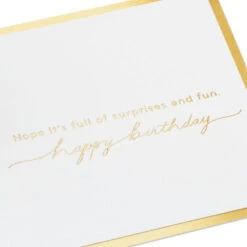 Hallmark It's Your Day Puppy In Present 3D Pop-Up Birthday Card 12 Hallmark It's Your Day Puppy In Present 3D Pop-Up Birthday Card -Hallmark Puppy in a Present 3D PopUp Birthday Card 1299LAD2883 03