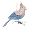 Hallmark The Beauty Of The Birds Leucistic Steller's Jay Ornament 1 Hallmark The Beauty Of The Birds Leucistic Steller's Jay Ornament -Hallmark Stellers Jay Blue Bird Keepsake Ornament 1799QXE3307 01