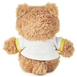 Hallmark Welcome Baby Recordable Teddy Bear Stuffed Animal, 8.75" -Hallmark Welcome Baby Recordable Teddy Bear Plush 1BBY4793 02